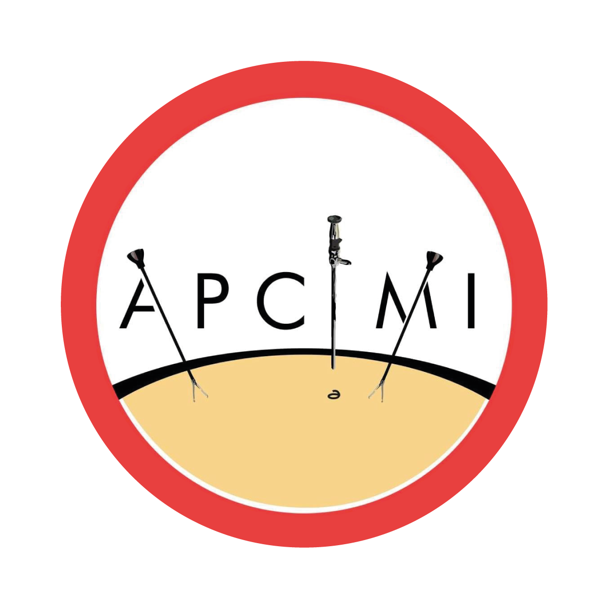 LOGO APCIMI